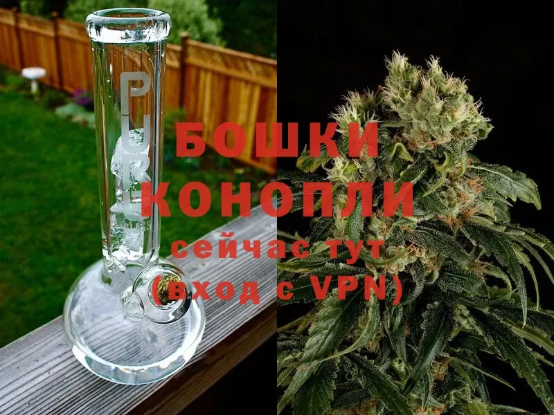 как найти наркотики  Дорогобуж  ОМГ ОМГ ссылки  Конопля SATIVA & INDICA 